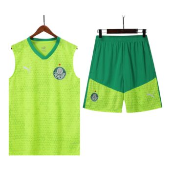 Palmeiras Training Kit